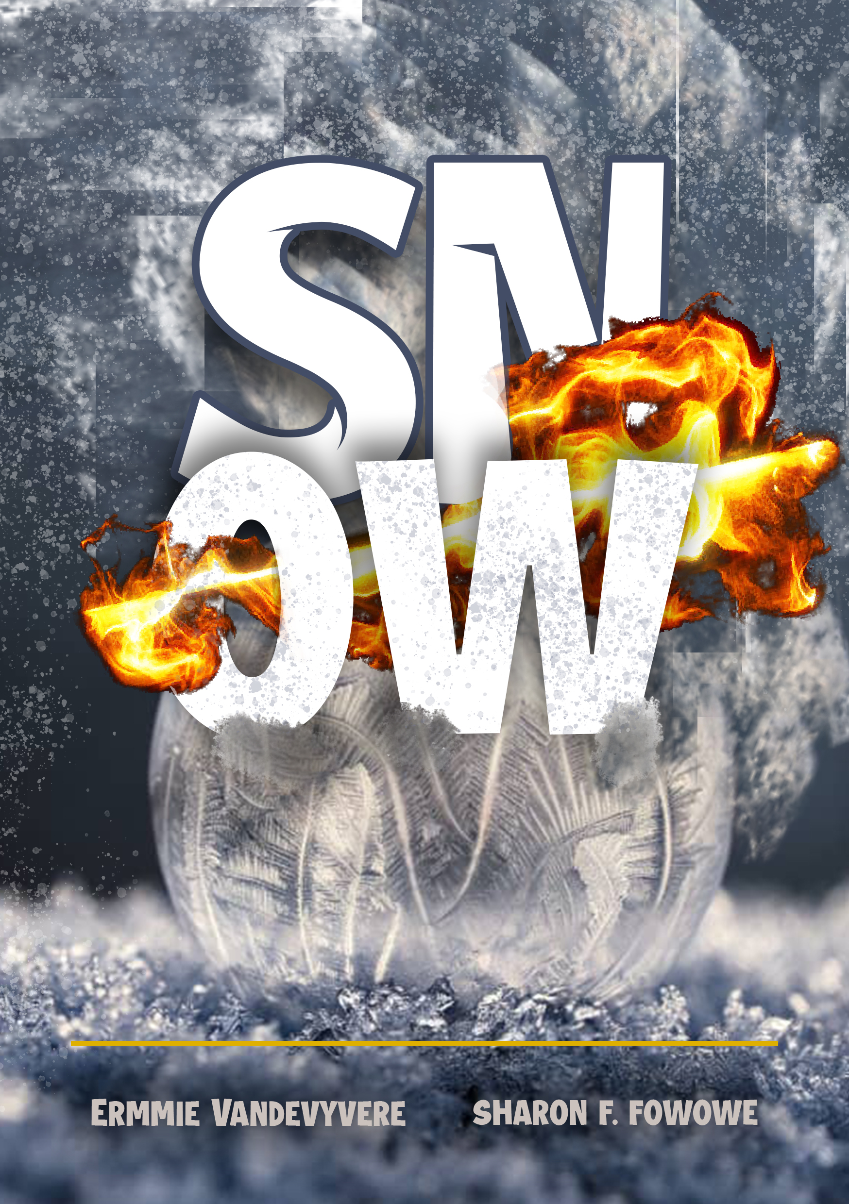 Book Cover